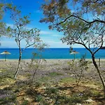 Under Royal Oaks Pera Meria