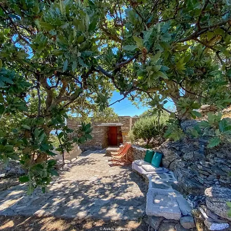 Hébergement de vacances Under Royal Oaks