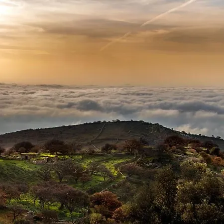 Σπίτι διακοπών Under Royal Oaks