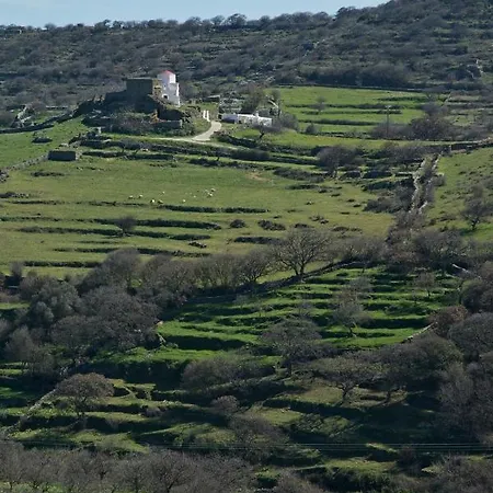 Under Royal Oaks * Pera Meria