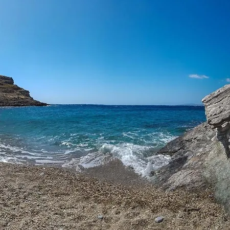 Under Royal Oaks Pera Meria