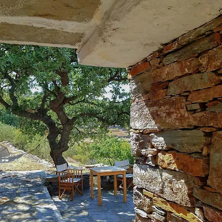 Under Royal Oaks Pera Meria