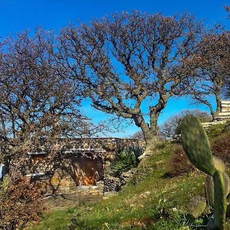 Σπίτι διακοπών Under Royal Oaks