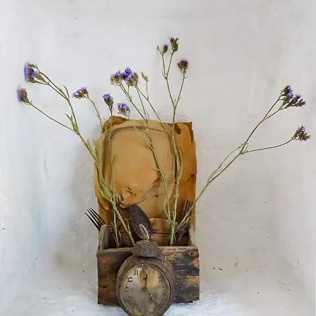 Under Royal Oaks Hébergement de vacances