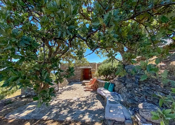 Ferienhaus Under Royal Oaks