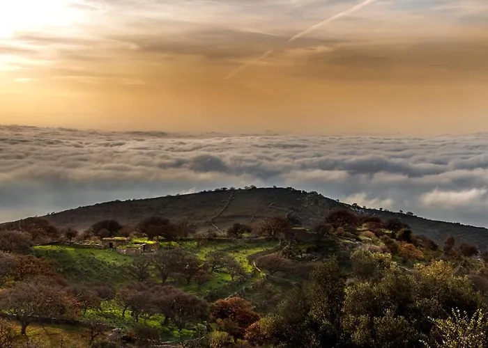 Сasa de vacaciones Under Royal Oaks