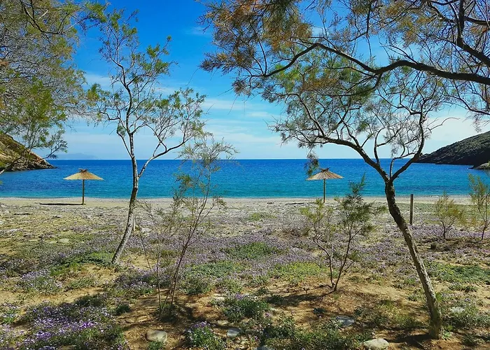 Under Royal Oaks Pera Meria