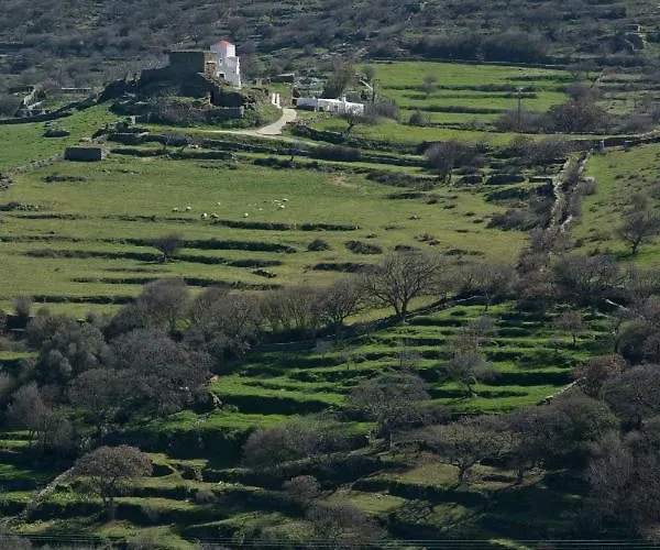 Under Royal Oaks * Pera Meria