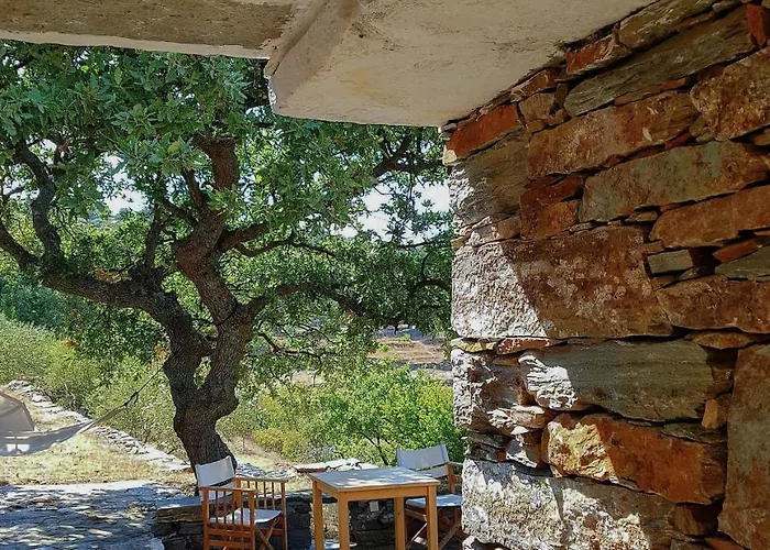 Under Royal Oaks Pera Meria