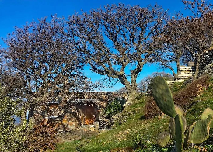 Сasa de vacaciones Under Royal Oaks