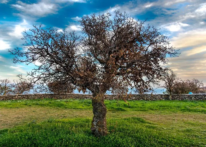 Сasa de vacaciones Under Royal Oaks Pera Meria