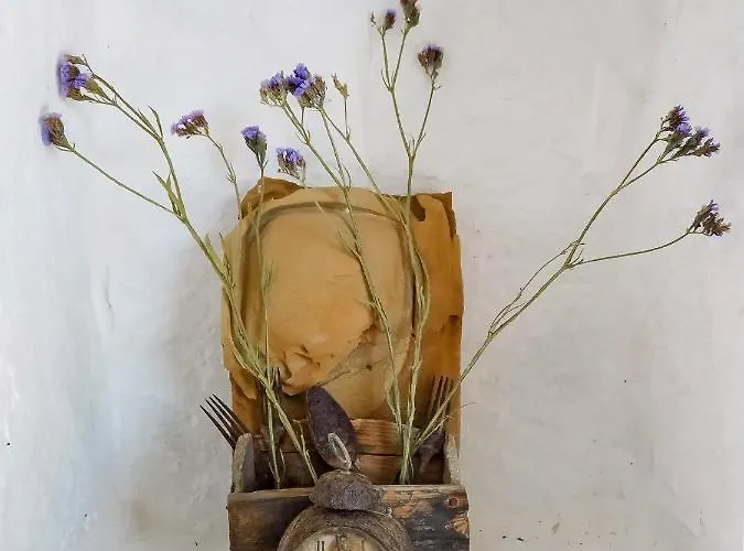 Under Royal Oaks Сasa de vacaciones